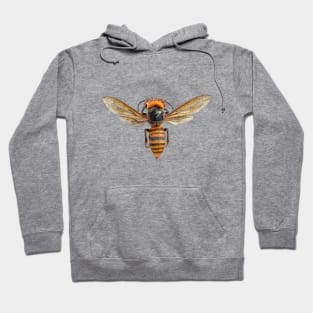 murder hornet Hoodie